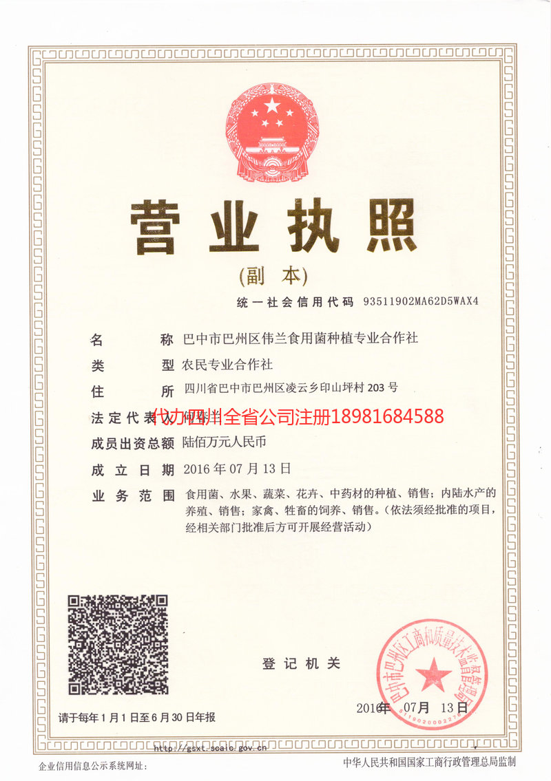 甘肃甘肃伟兰食用菌种植专业合作社